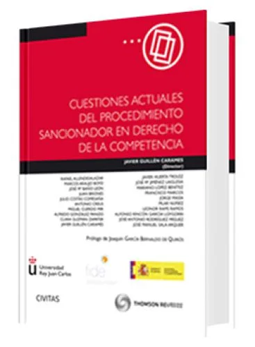 CUESTIONES ACTUALES DEL PROCEDIMIENTO SA..