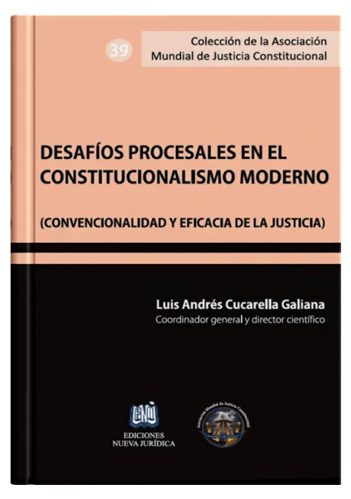 DESAFÍOS PROCESALES EN EL CONSTITUCIONA..