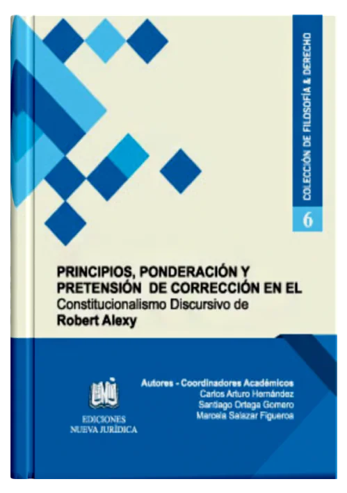 PRINCIPIOS, PONDERACIÓN Y PRETENSIÓN D..