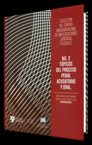 TÓPICOS DEL PROCESO PENAL ACUSATORIO Y ..