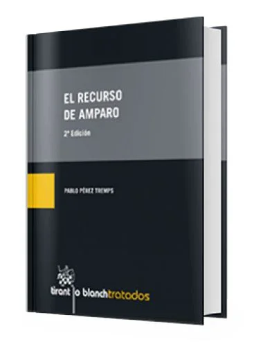 EL RECURSO DE AMPARO..