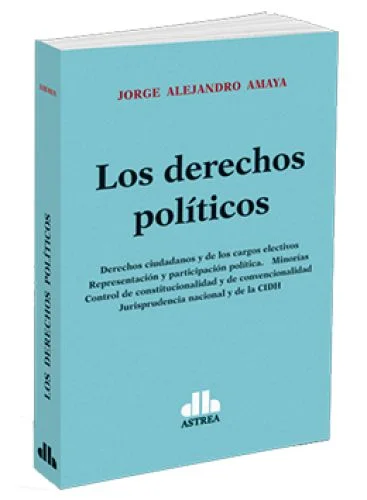 LOS DERECHOS POLÍTICOS..