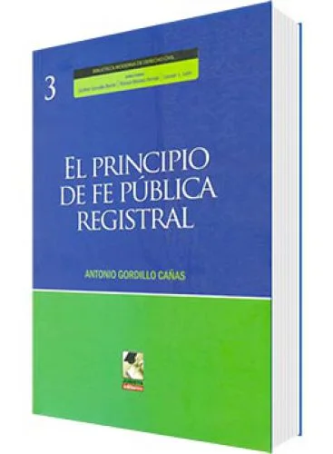 EL PRINCIPIO DE FE Pï¿½BLICA REGISTRA..