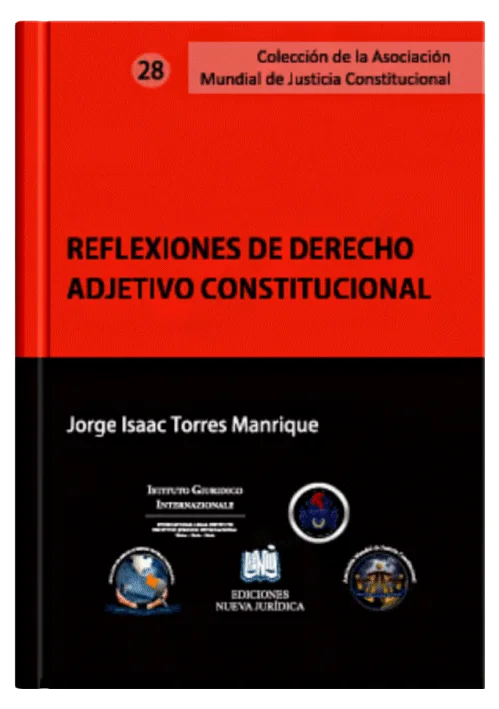 REFLEXIONES DE DERECHO ADJETIVO CONSTITU..