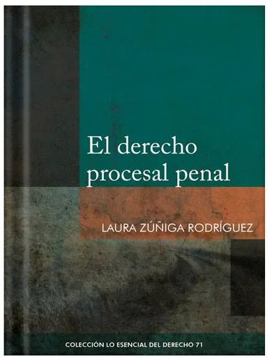 EL DERECHO PROCESAL PENAL - Tomo 71 Lo e..