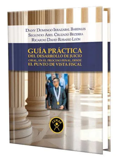 GUÍA PRÁCTICA DE DESARROLLO DE JUICIO ..