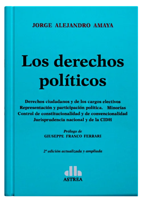 LOS DERECHOS POLÍTICOS..