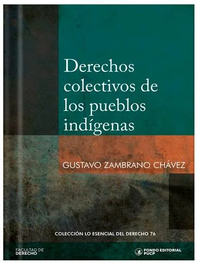 DERECHOS COLECTIVOS DE LOS PUEBLOS INDÍ..