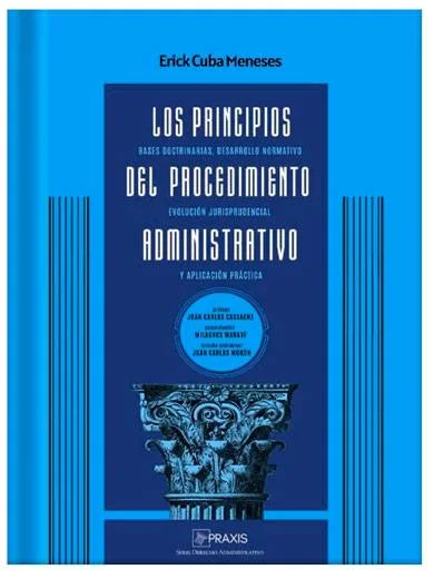 LOS PRINCIPIOS DEL PROCEDIMIENTO ADMINIS..