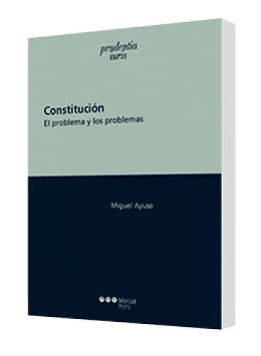 CONSTITUCIÓN (El problema y sus problem..