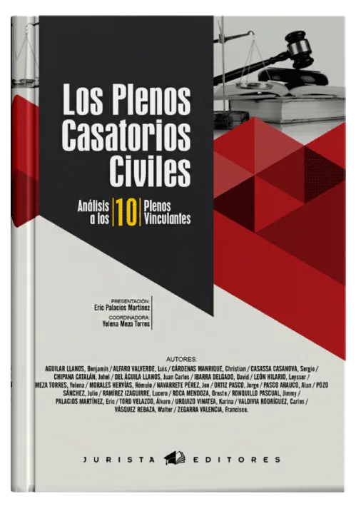LOS PLENOS CASATORIOS CIVILES - Análisi..