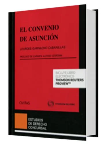 EL CONVENIO DE ASUNCIÓN..