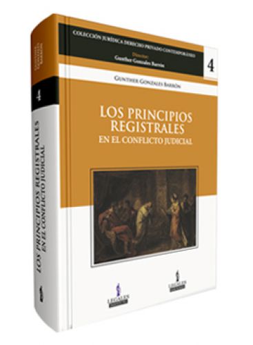 LOS PRINCIPIOS REGISTRALES EN EL CONFLICTO JUDICIAL