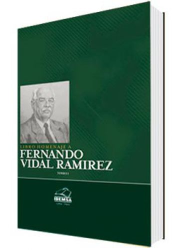 LIBRO HOMENAJE A FERNANDO VIDAL RAMIREZ..