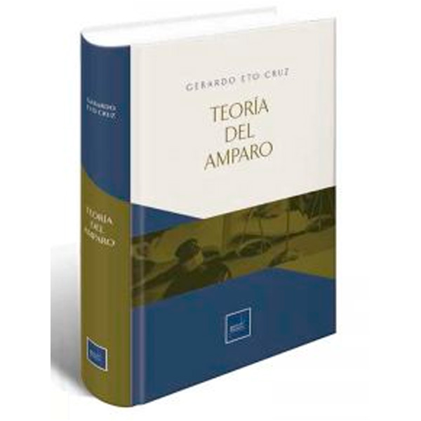 TEORIA DEL AMPARO..