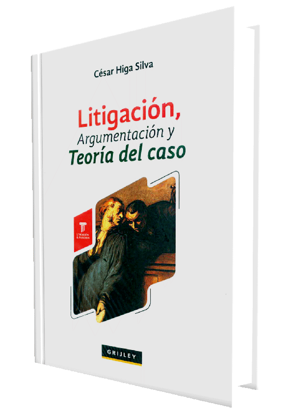 LITIGACION, ARGUMENTACION Y TEORIA DEL CASO