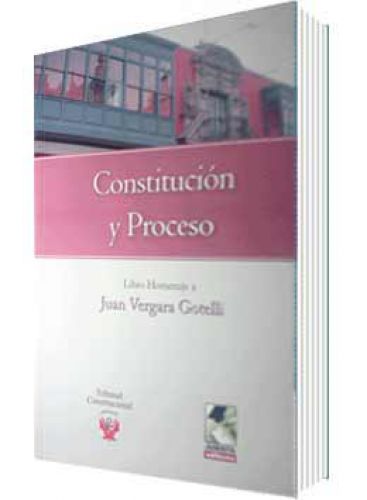 CONSTITUCIÓN Y PROCESO CONSTITUCIÓN Y PROCESO