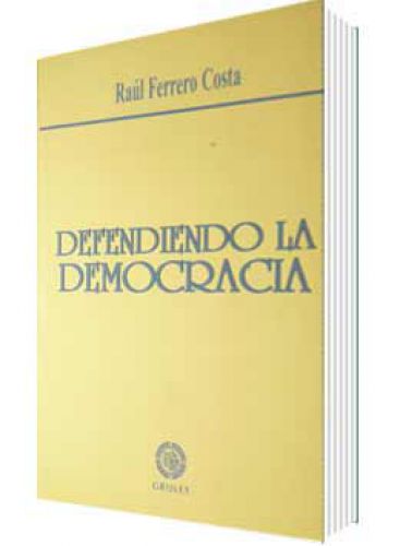 DEFENDIENDO LA DEMOCRACIA