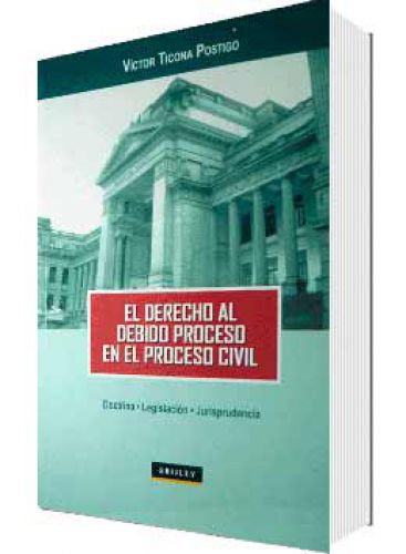 EL DERECHO AL DEBIDO PROCESO EN EL PROCE..