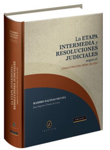 LA ETAPA INTERMEDIA Y RESOLUCIONES JUDICIALES