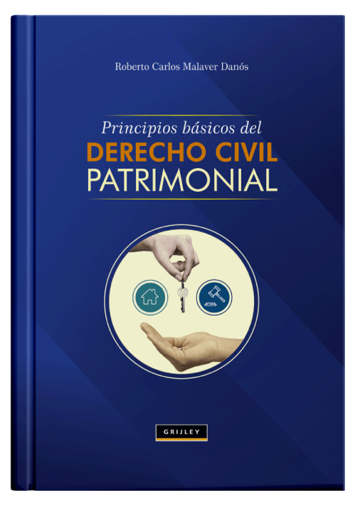 PRINCIPIOS BÁSICOS DEL DERECHO CIVIL PATRIMONIAL