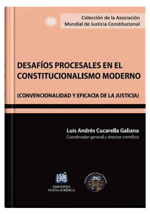 DESAFÍOS PROCESALES EN EL CONSTITUCIONA..
