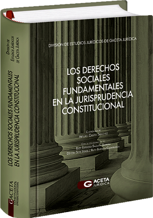 LOS DERECHOS SOCIALES FUNDAMENTALES EN LA JURISPRUDENCIA CONSTITUCIONAL