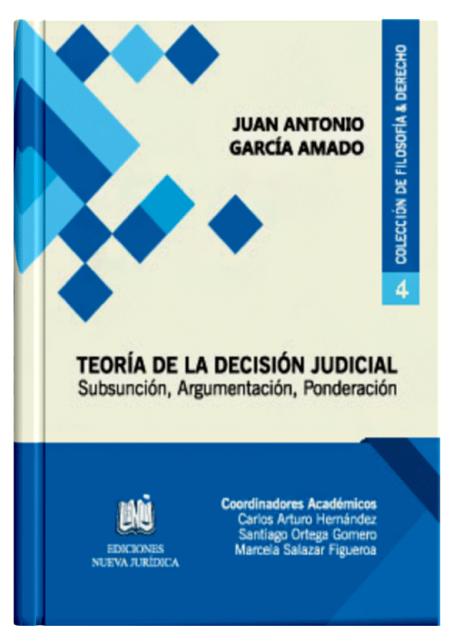 TEORÍA DE LA DECISIÓN JUDICIAL, SUBSUN..