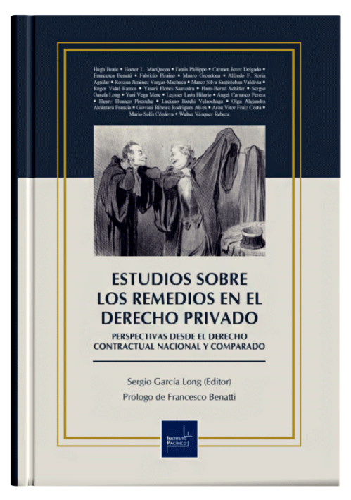 ESTUDIOS SOBRE LOS REMEDIOS EN EL DERECH..
