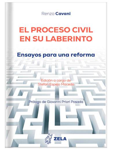 EL PROCESO CIVIL EN SU LABERINTO ENSAYOS PARA UNA REFORMA