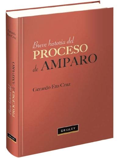 HISTORIA DEL PROCESO DE AMPARO..