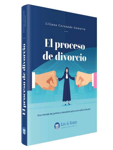 EL PROCESO DE DIVORCIO..