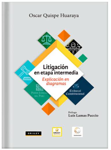LITIGACIÓN EN TAPA INTERMEDIA EXPLICACIÓN EN DIAGRAMAS