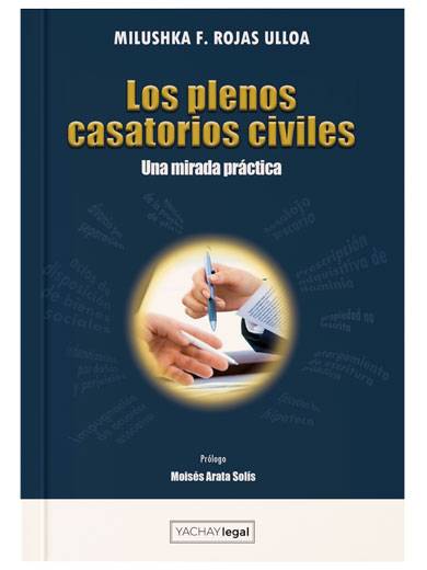 LOS PLENOS CASATORIOS CIVILES. Una mirada práctica