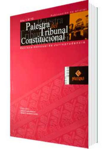 PALESTRA DEL TRIBUNAL CONSTITUCIONAL 10º, AÑO 2006
