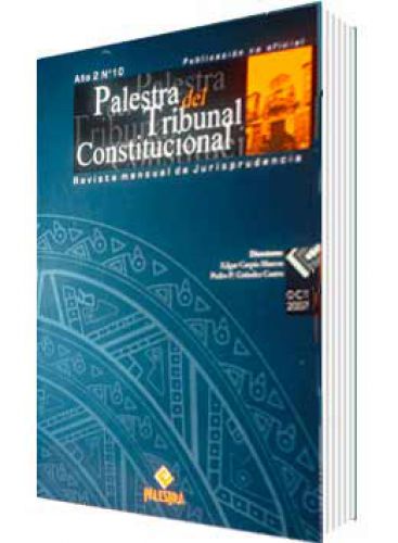 PALESTRA DEL TRIBUNAL CONSTITUCIONAL 10, AÑO 2007