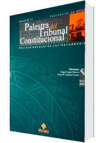 PALESTRA DEL TRIBUNAL CONSTITUCIONAL 11, AÑO 2007