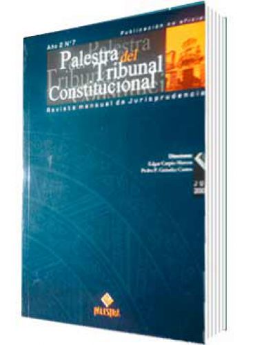 PALESTRA DEL TRIBUNAL CONSTITUCIONAL 7, AÑO 2007
