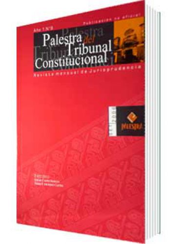 PALESTRA DEL TRIBUNAL CONSTITUCIONAL 9º, AÑO 2006