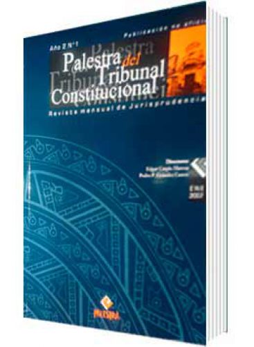 PALESTRA DEL TRIBUNAL CONSTITUCIONAL 1, AÑO 2007