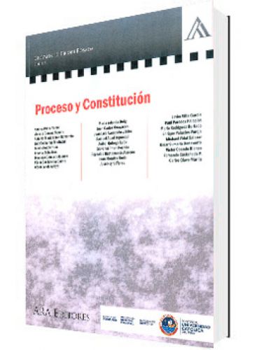 PROCESO Y CONSTITUCIÓN PROCESO Y CONSTITUCIÓN