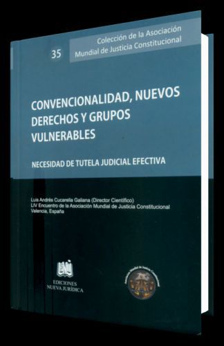 CONVENCIONALIDAD, NUEVOS DERECHOS Y GRUPOS VULNERABLES