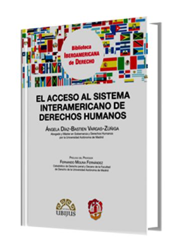 EL ACCESO AL SISTEMA INTERAMERICANO DE D..