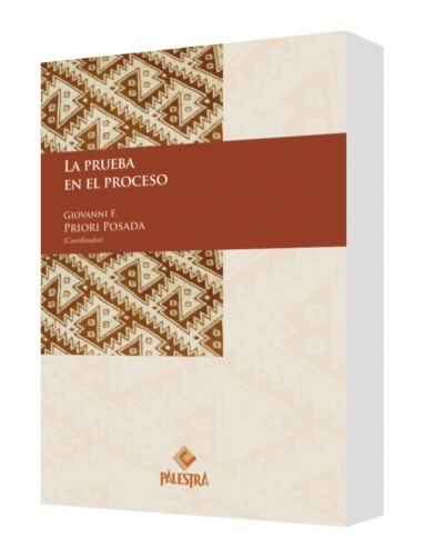 LA PRUEBA EN EL PROCESO..