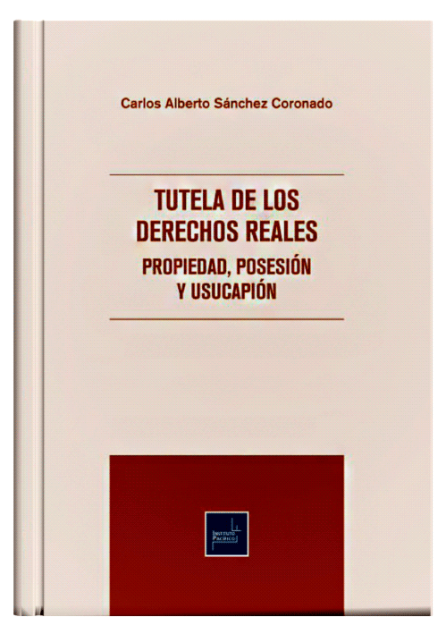 TUTELA DE LOS DERECHOS REALES - Propieda..