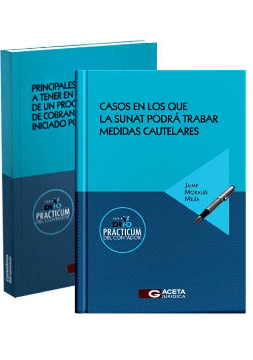 DUO PRACTICUM DEL CONTADOR: PRINCIPALES ..