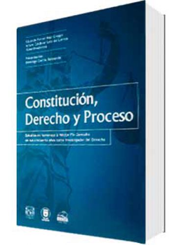 CONSTITUCIÓN, DERECHO Y PROCESO..
