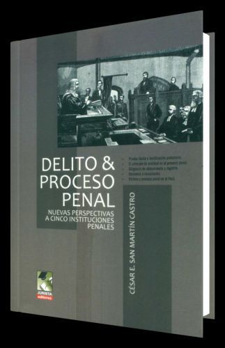 DELITOS Y PROCESO PENAL - nuevas perspec..