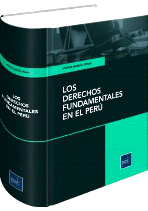 LOS DERECHOS FUNDAMENTALES EN EL PERÚ..