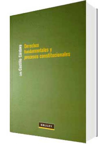 DERECHOS FUNDAMENTALES Y PROCESOS CONSTI..